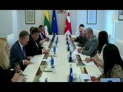 მამუკა ბახტაძე ლიეტუვის საგარეო საქმეთა მინისტრს შეხვდა