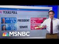 Texan Political Shifts In The Trump Era | Ayman Mohyeldin | MSNBC