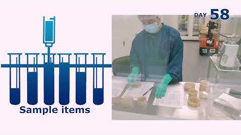 Novo Nordisk explainer video