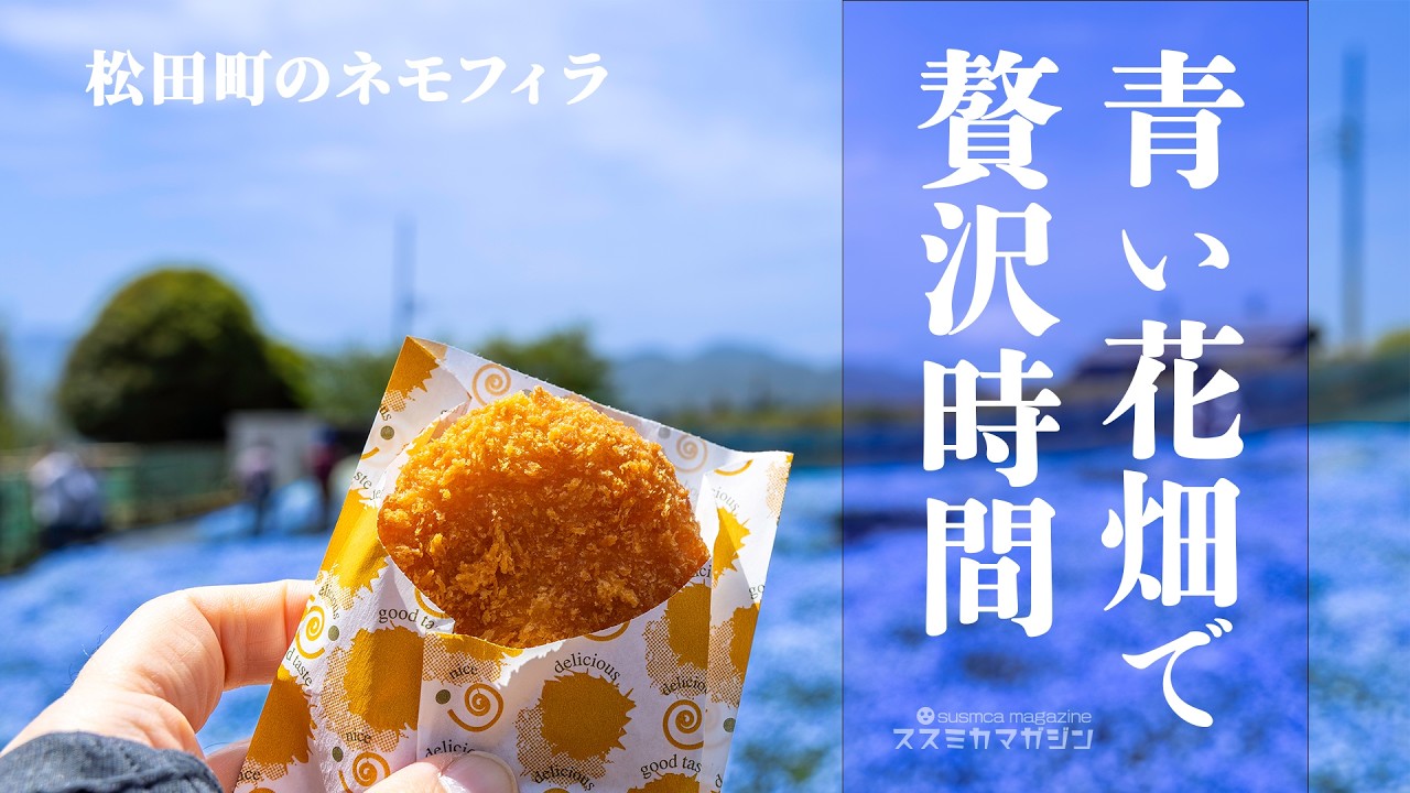 青い花畑で贅沢時間 | 松田町 コキアの里 ネモフィラ園 - YouTube