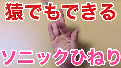 ペン回しソニックひねり