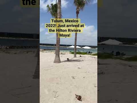 Hilton Tulum Riviera Maya All Inclusive Resort: Day 1 Shorts Tulumvlog Tulumvibes