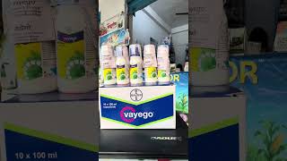 Bayer ka vayego #bottlegourd #marvel #agriculturalsystem #hulk