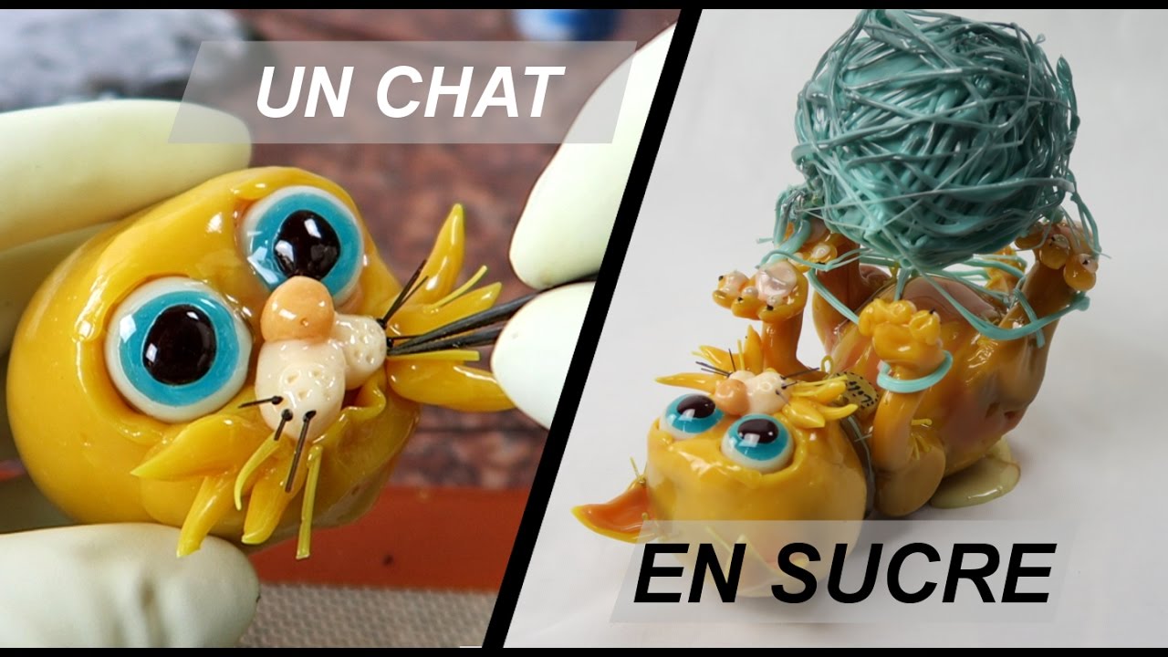 Un chat en sucre- 1vidéo-1création