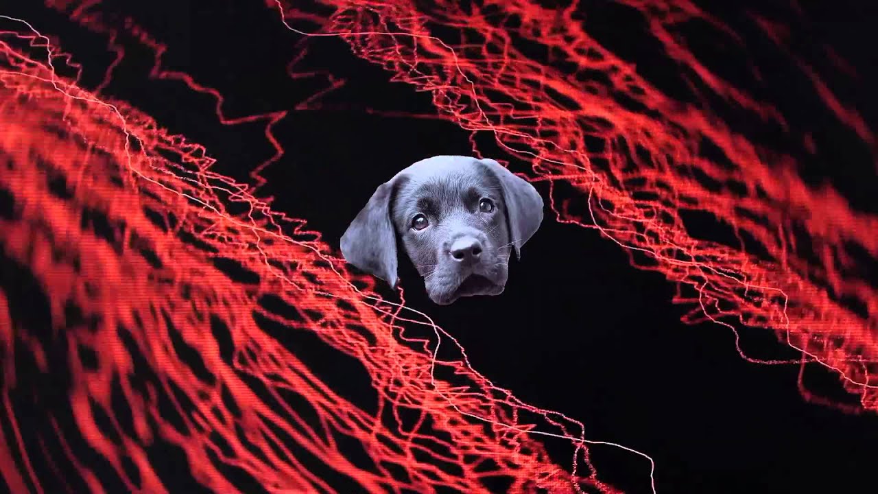 Watch The Dog Editions – Sad Feeling – FASCINOMA on YouTube Watch The Dog Editions – Sad Feeling – FASCINOMA on YouTube