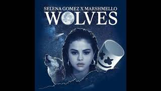 Selena Gomez Marshmello Wolves