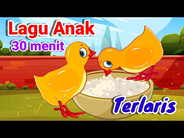 Lagu Anak 30 Menit - Lagu Anak pilihan Terlaris - Animasi Ayam class=