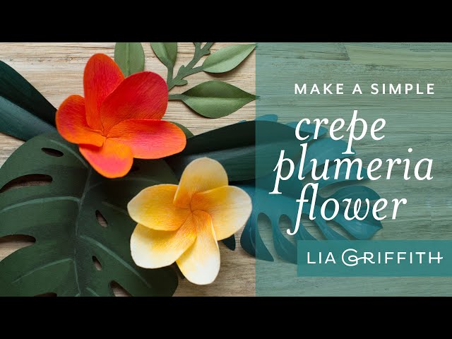 DIY Tropical Flowers: Tissue Paper Hibiscus - Lia Griffith