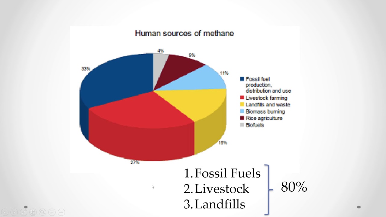 Apes Unit 9 4 Increases In The Greenhouse Gasses Youtube