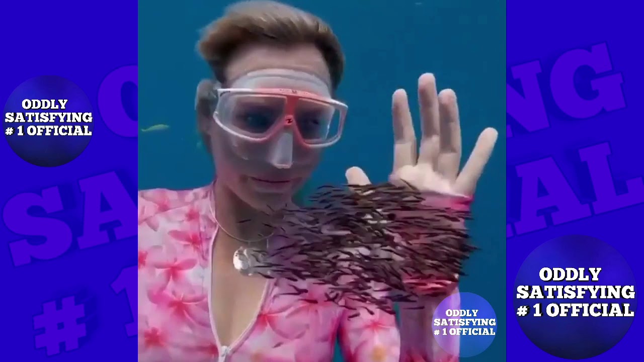 Oddly Satisfying Video to Help You Feel Calm & Relaxed - YouTube