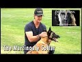 The Martingale Collar - Dog Training Equiptment The Martingale Collar - Dog Training Equiptment