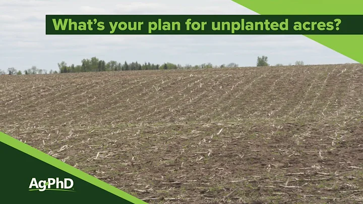 Unplanted Acres (From Ag PhD Show #1126 - Air Date 11-3-19)