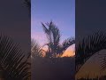 Beautiful colours in the sky of Mackay