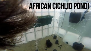 275 Gallon Ibc Tote Pond