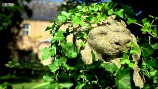 Spider House - BBC Documentary