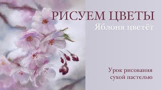 Рисуем красивые цветы. Урок рисования сухой пастелью для начинающих