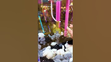 Plush Toys Game is Hard