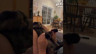 Her cat started singing with her