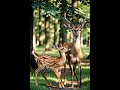 Deer And Deer Baby Fun Video #ai #aivideo #shortsviral #burger #shortvideo #deer #viral #shorts