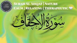 Qari Syed Sadaqat Ali /Surah Al  Ahqaf | Nature | Calm | Relaxing | Therapeutic 🤍