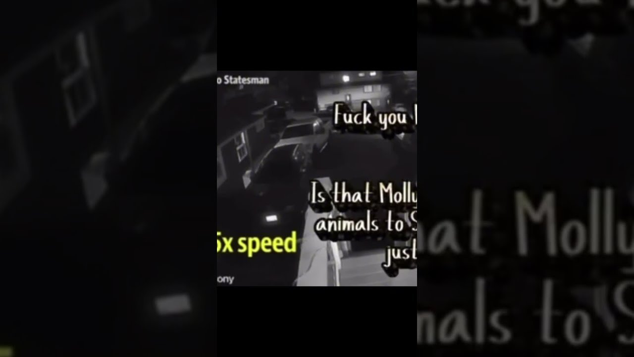 Recent On The Idaho4 Case All Law Documents Recents Unseen Footages And Photos MoreFULLVIDEO