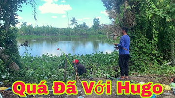 Câu Cá Tra Sông - Quá Cảm Xúc Khi Dính Những Con Hugo | Video Tổng Hợp | Fishing - Miền Tây