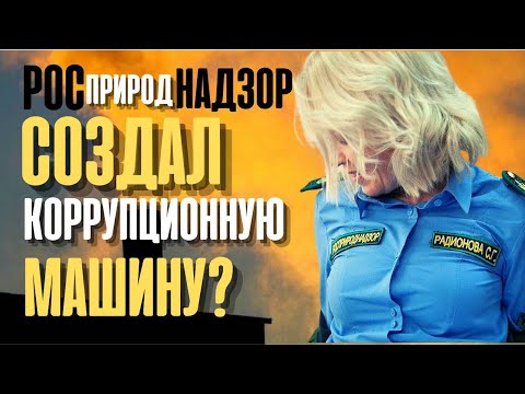 «Росприроднадзор создал коррупционную