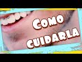 🟢 Como cuidar un piercing smiley Como cuidar una perforacion 2020 |Burbuja Psicopata |