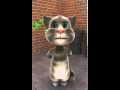 Talking Tom Animals Marroon 5