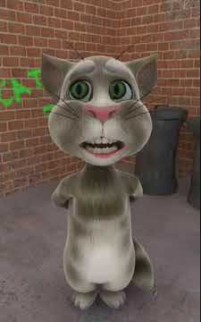 Talking Tom - Animals Marroon 5