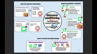 PSY4111 Assessment 3 – Classical conditioning