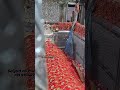 Saiyed ali mira datar dargah sarif me koi bhi kaam ho to coll kare har taklif ka ilaz