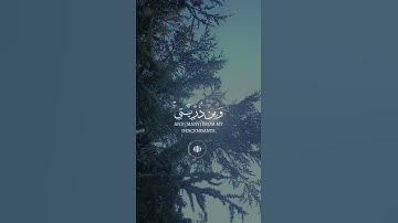 قران كريم #قران كريم #France #اكسبلور #تيك_توك #duet #دويتو #راحة_نفسية #لايك #ترند #حال #beautiful