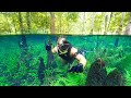 Searching for treasure in flooded forest underwater rare opportunity