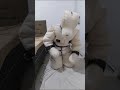 submissive slave locked in a sheepskin bondagesuit