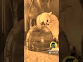 سمج سموج ميمز ضحك Cat ميمز مضحكة Funny Memes اكسبلور Pets Catlover Animals قطط سمج سموج ميمز ضحك Cat ميمز مضحكة Funny Memes اكسبلور Pets Catlover Animals قطط