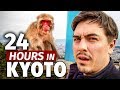 24 hours in kyoto  japans best monkey park