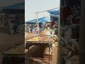 hello guys welcome to my mine vlog today market short video mini vlog