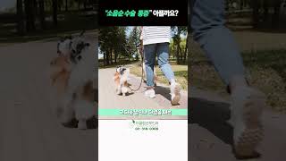 &quot;소음순 수술 통증&quot; 아플까요??#소음수술후통증 #소음수술후봉합 #소음순수술마취
