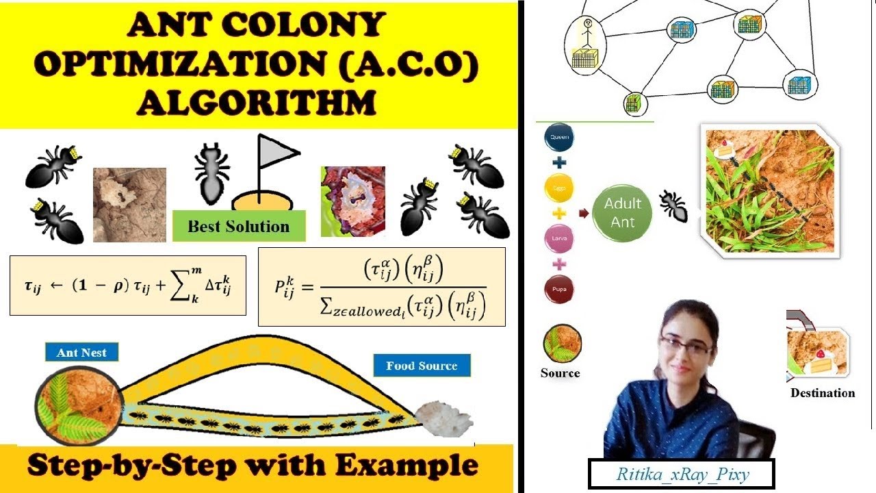 Learn Ant Colony Optimization Algorithm step-by-step with Example (ACO)  ~xRay Pixy 🌿🍰🐜🐜🐜🌞 - YouTube