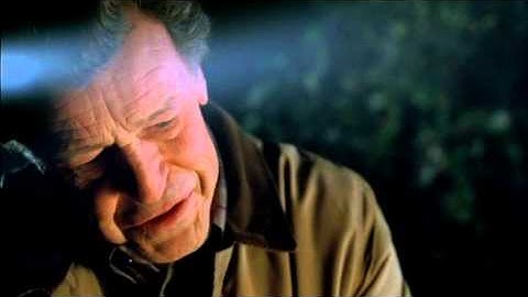 Fringe Perceiving Others