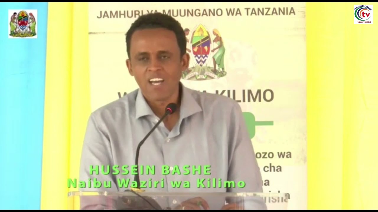 BASHE: WALINITISHA WAKANIAMBIA MKONGE NI BEI KUBWA SANA WEWE UNALAZIMISHA!!