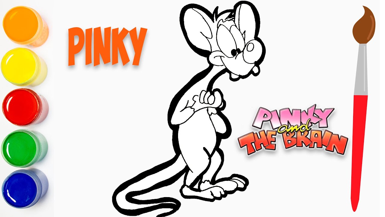 Dibujando Pinky y Cerebro - Dibujos Para Niños - Cat Color ✓ - thptnganamst.edu.vn