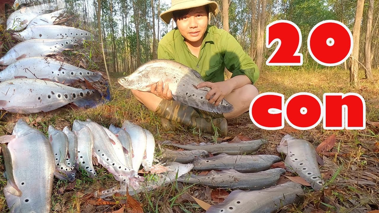 2 ngày trúng đậm bầy thác lác cườm