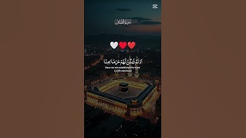 سورة القصص #اكسبلور #duet #دويتو