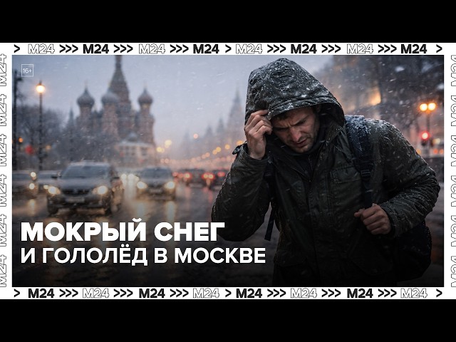 Мокрый снег и гололёд в Москве: когда закончится непогода  Москва 24
