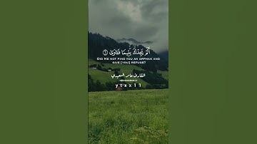 القارئ عامر السعيدي ولسوف يعطيك ربك فترضى