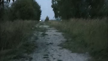 hours. - an ambient dreamcore playlist