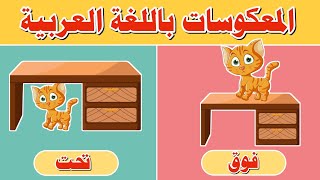 الأضداد باللغة العربية - المعكوسات للأطفال باللغة العربية - Arabic opposites for kids