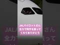JALパイロットさんが全力で両手を振ってくれた件 Thanks to JAL pilots for waving more than expected!